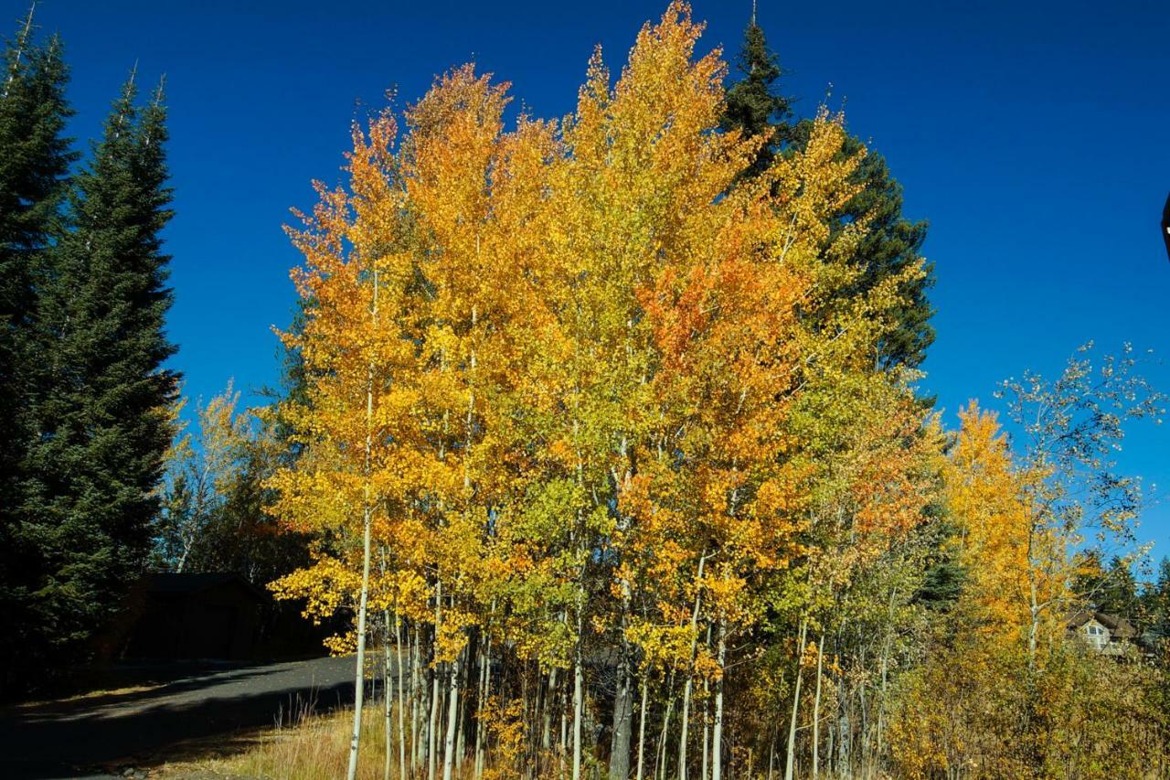 Aspen Village Golf Course Condo - Snowshoes マッコール エクステリア 写真